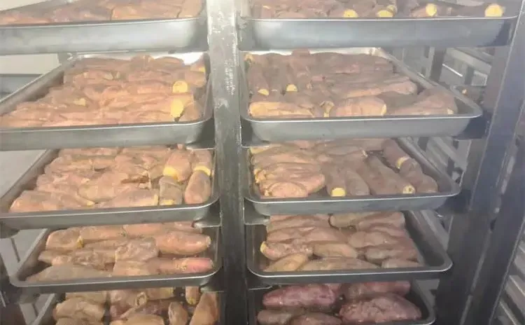 山东烤红薯机竞争力分析报告