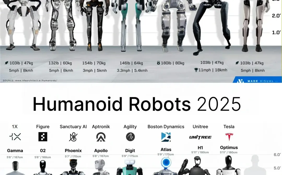 ??人形机器人 2024 vs 2025 图鉴
