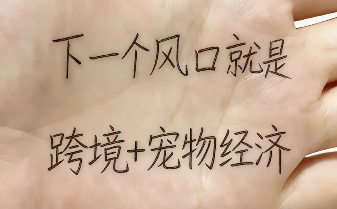 下一个风口就是:跨境电商+宠物用品