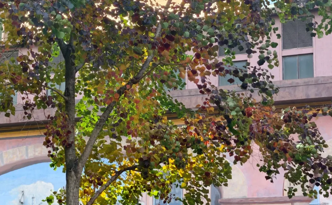 暴论：实习生都该学会怎么摸鱼做记录