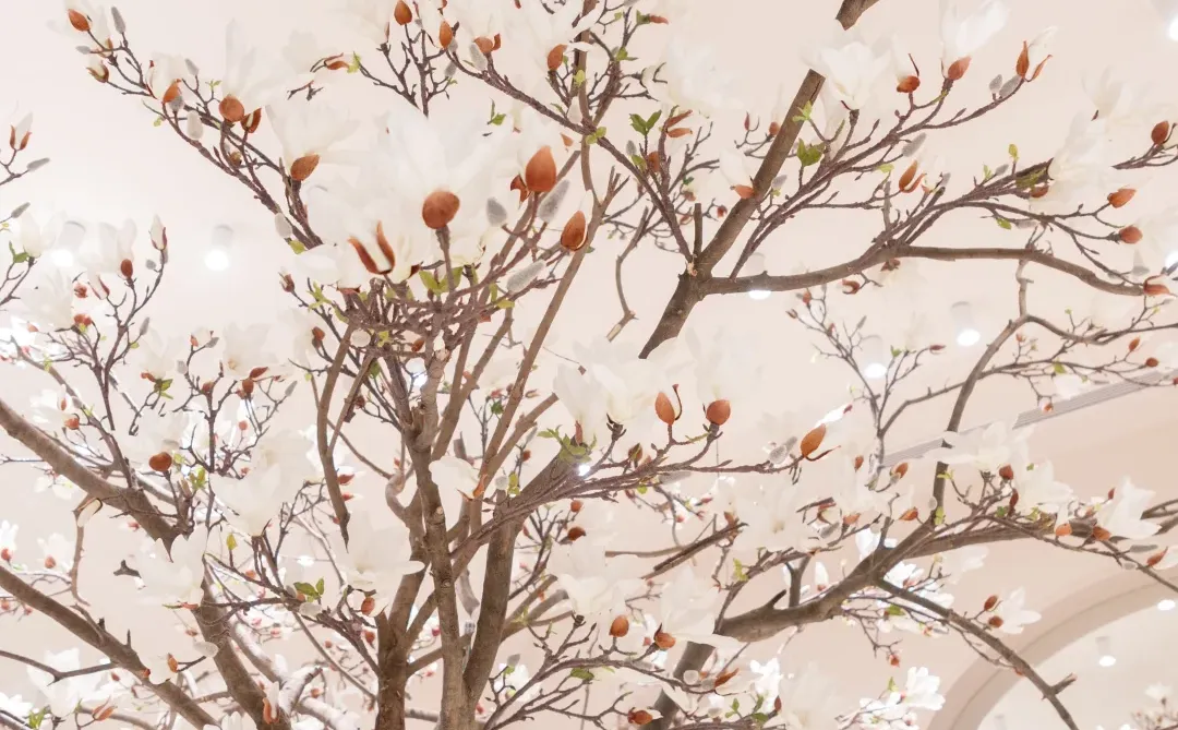 如何把高化业态玩出新范式？