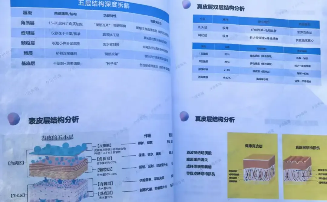 美业咨询师面诊必备知识书册