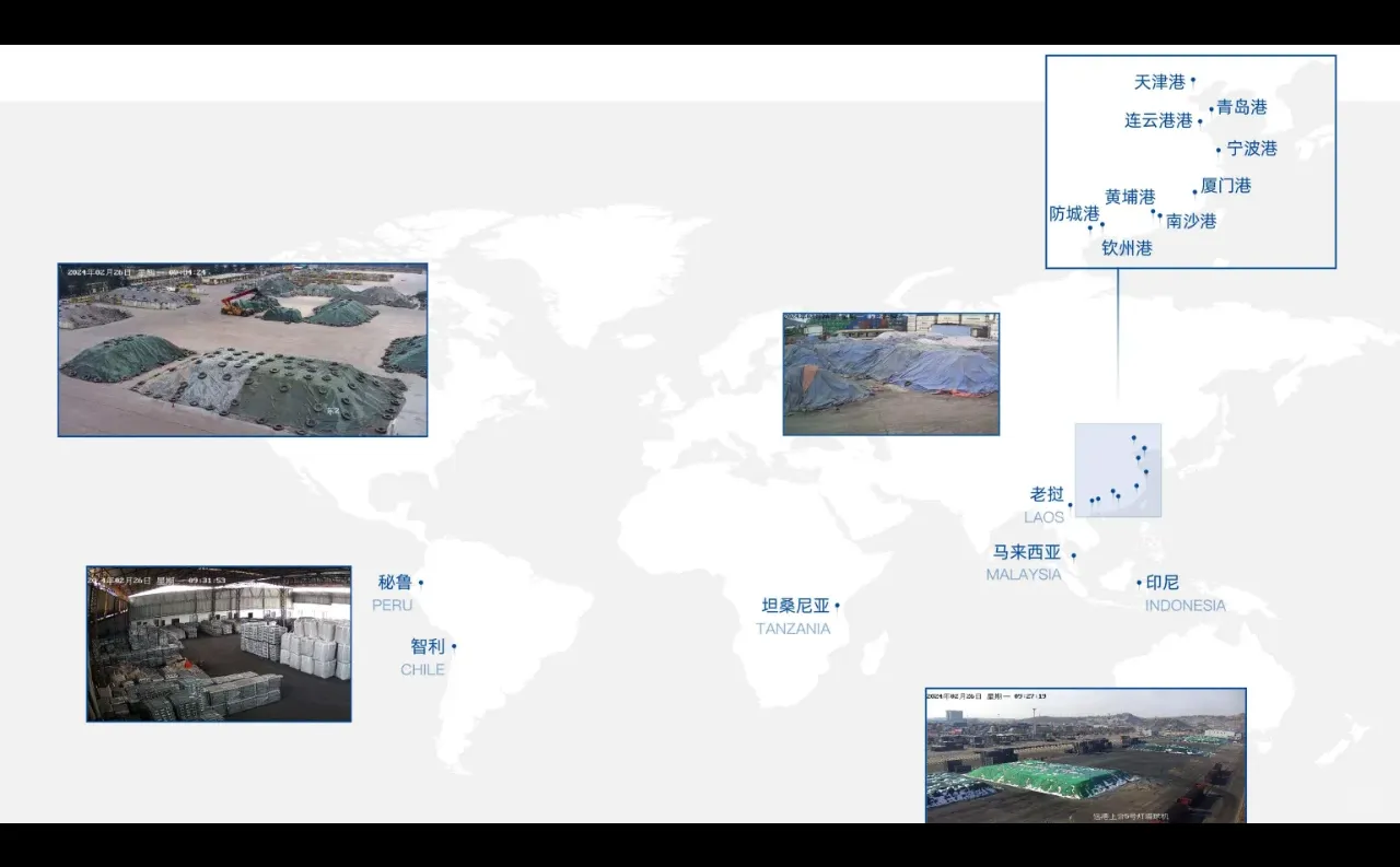 2024年什么行业处于风口上?