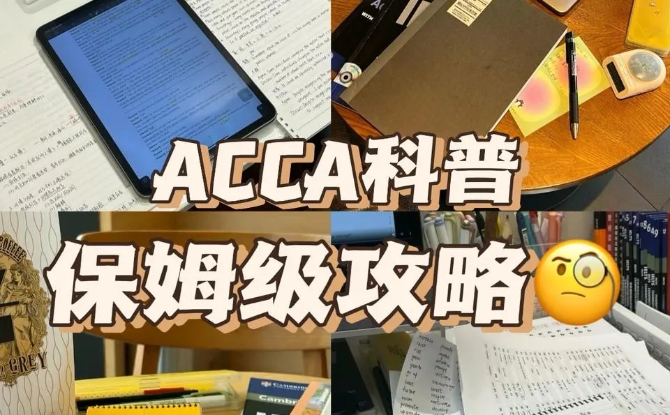 AA 分析行程序Analytical Procedures