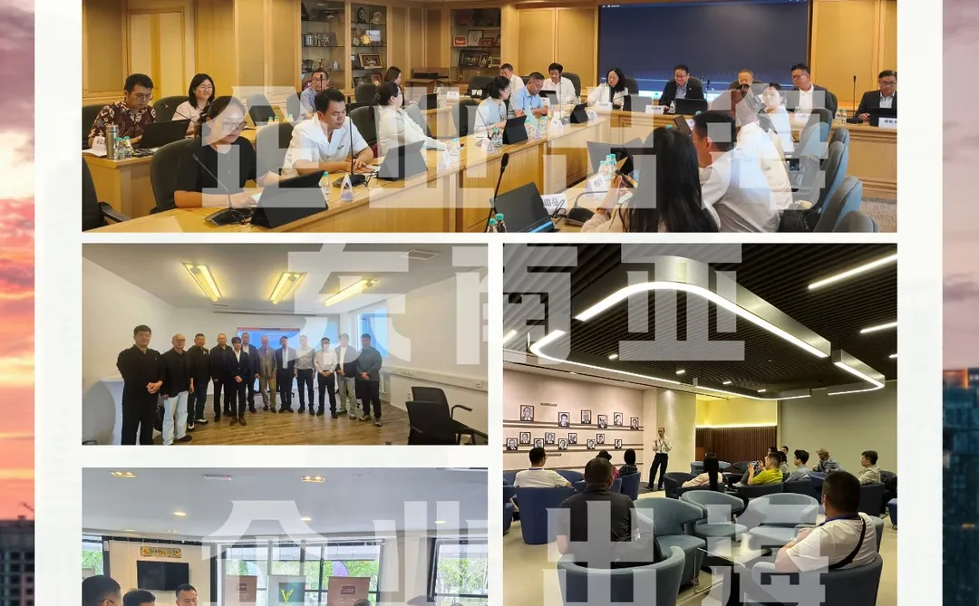 东南亚企业出海公务考察