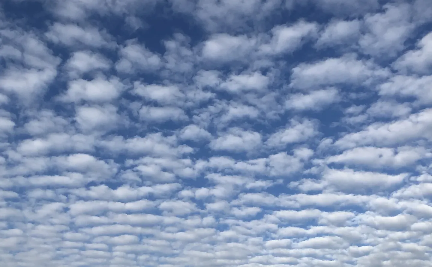 教你赚钱的人=要赚你钱的人