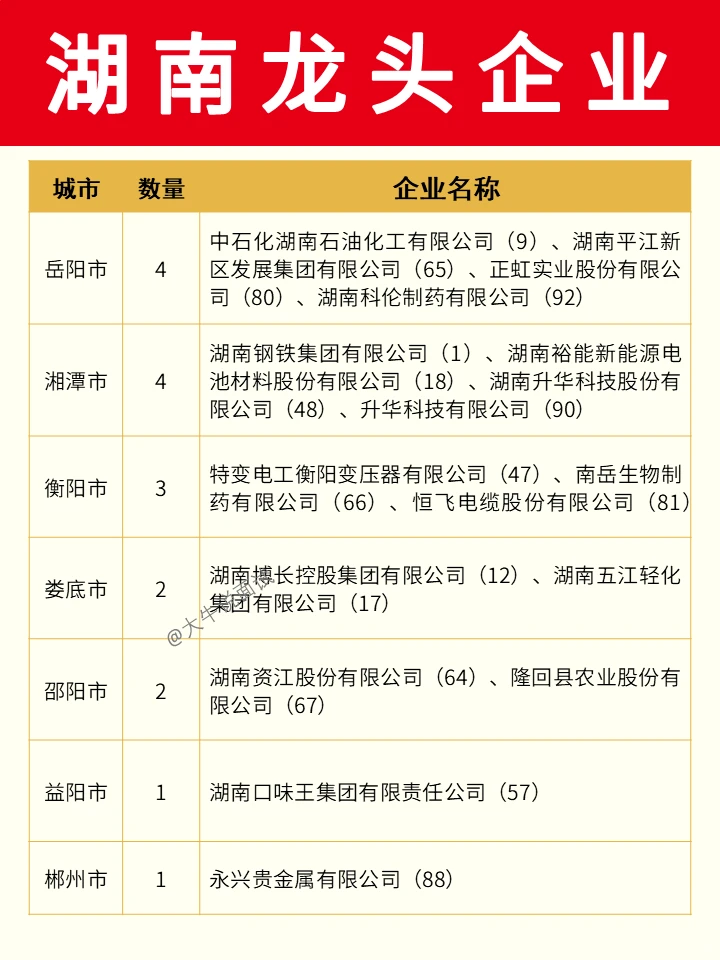 湖南龙头企业❗