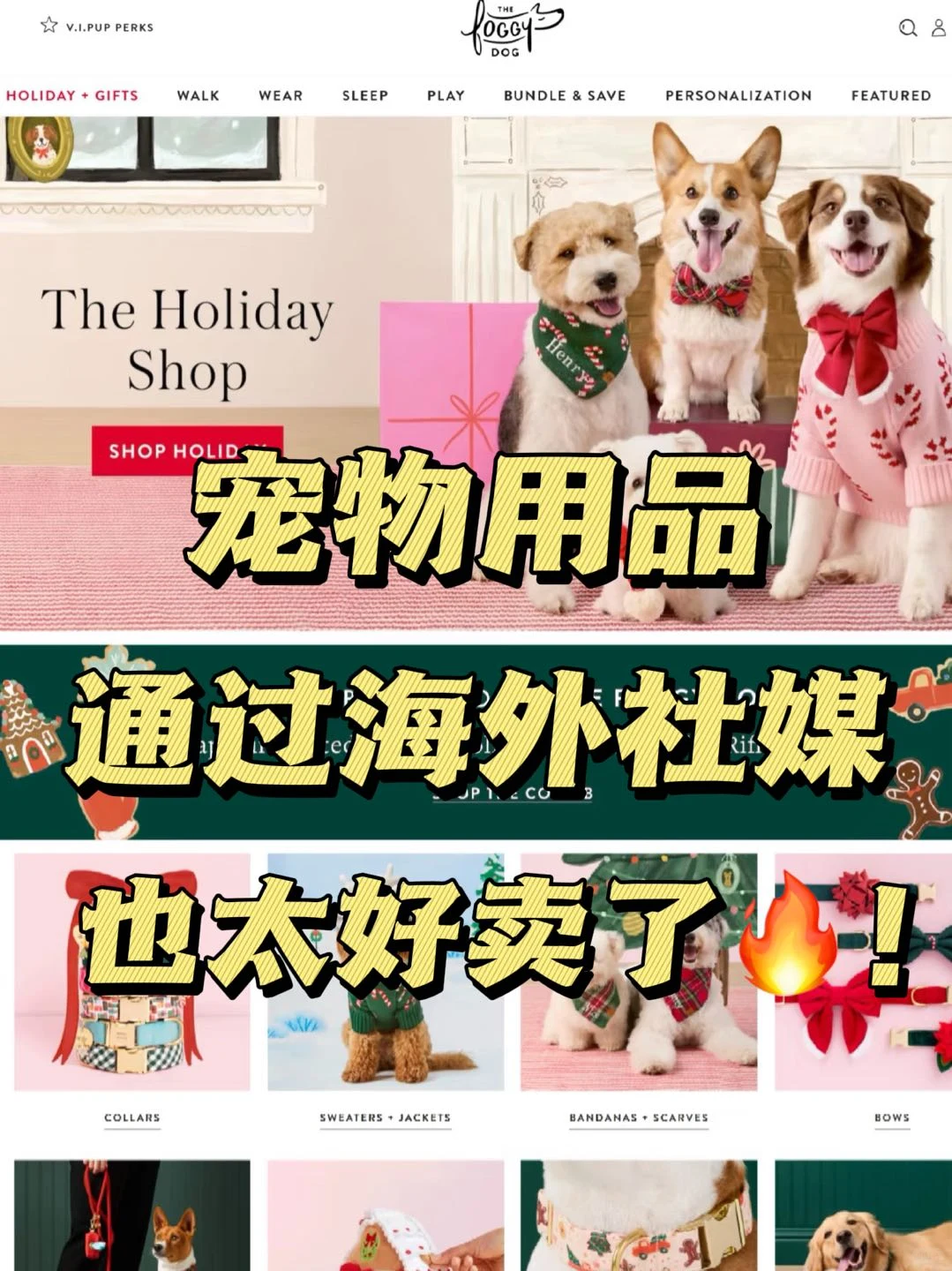 ? 宠物用品通过海外社媒出海也太好卖了