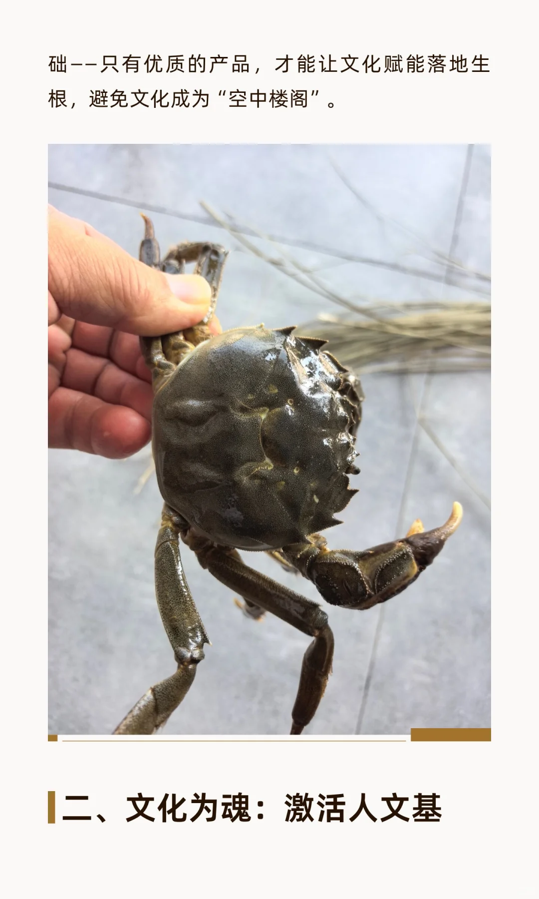 以人文经济学赋能阳澄湖大闸蟹产业高质量发