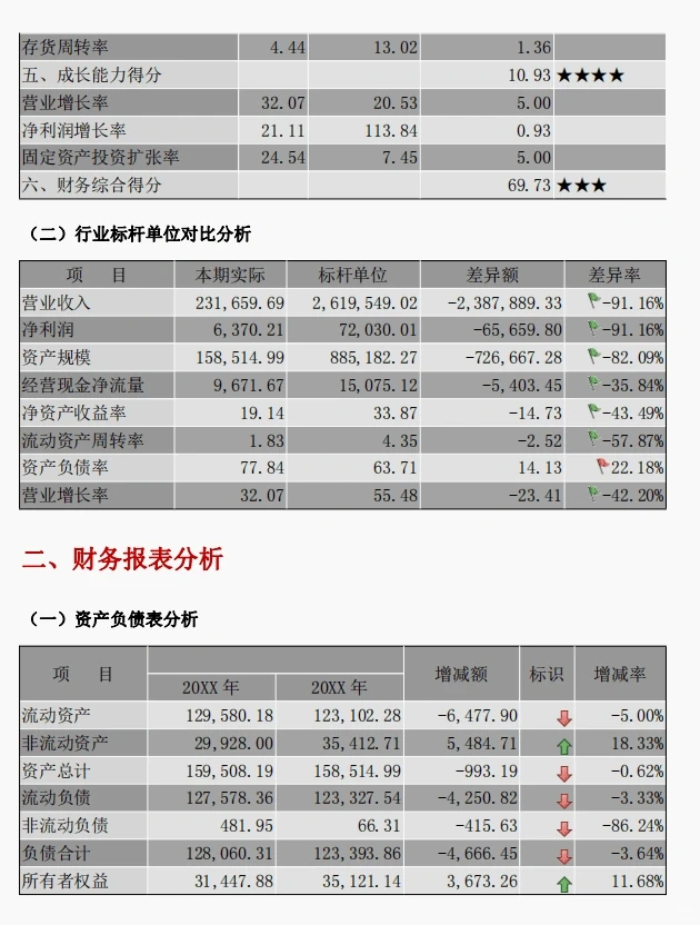 企业年度分析报告