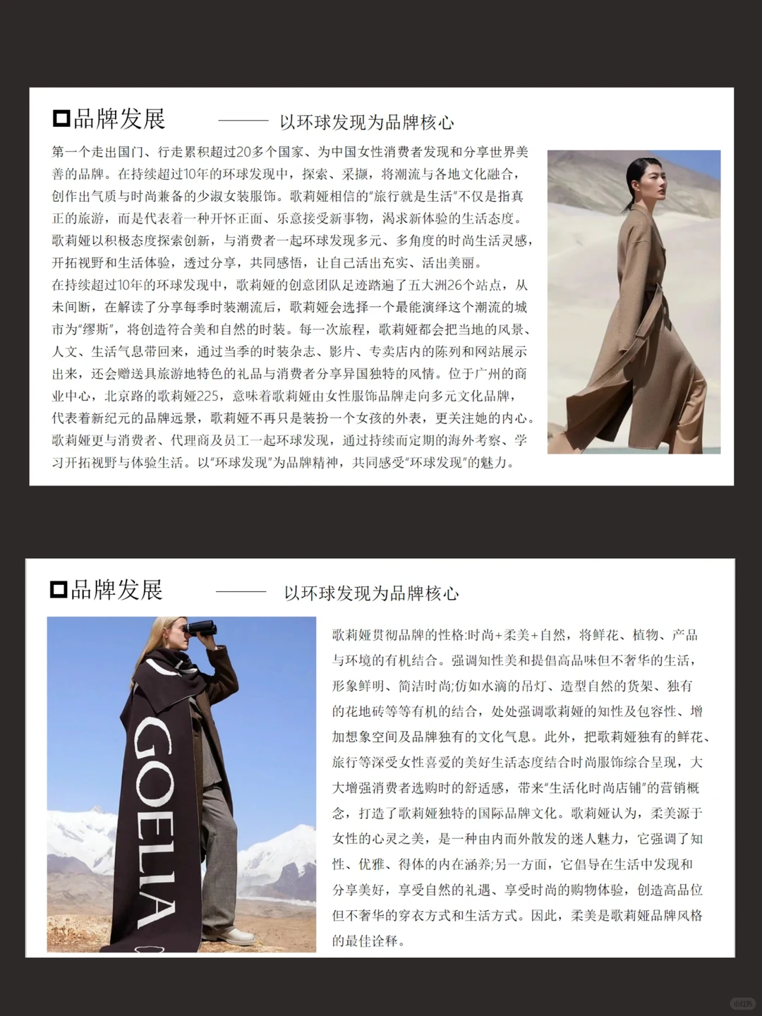 歌莉娅品牌调查报告