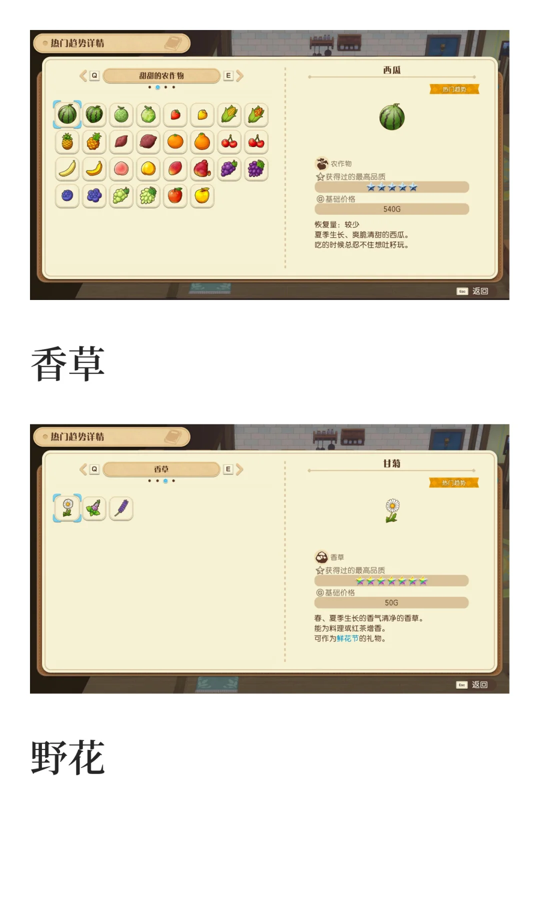 风之集市全部热门趋势物品图鉴汇总