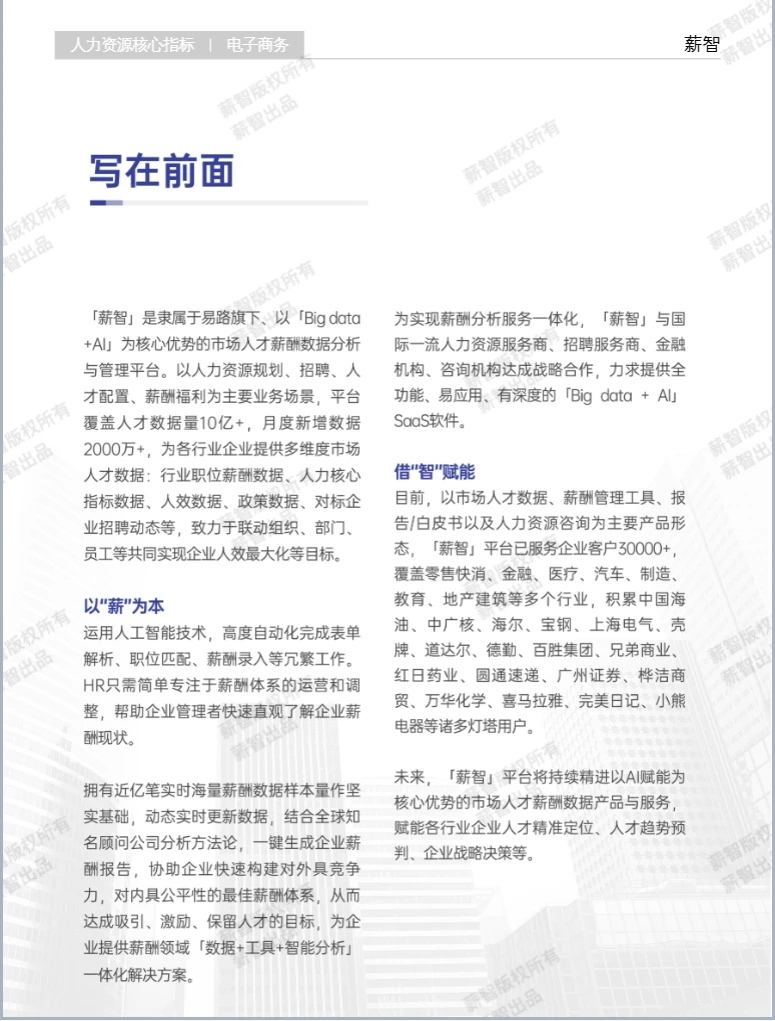 2025年电子商务行业白皮书