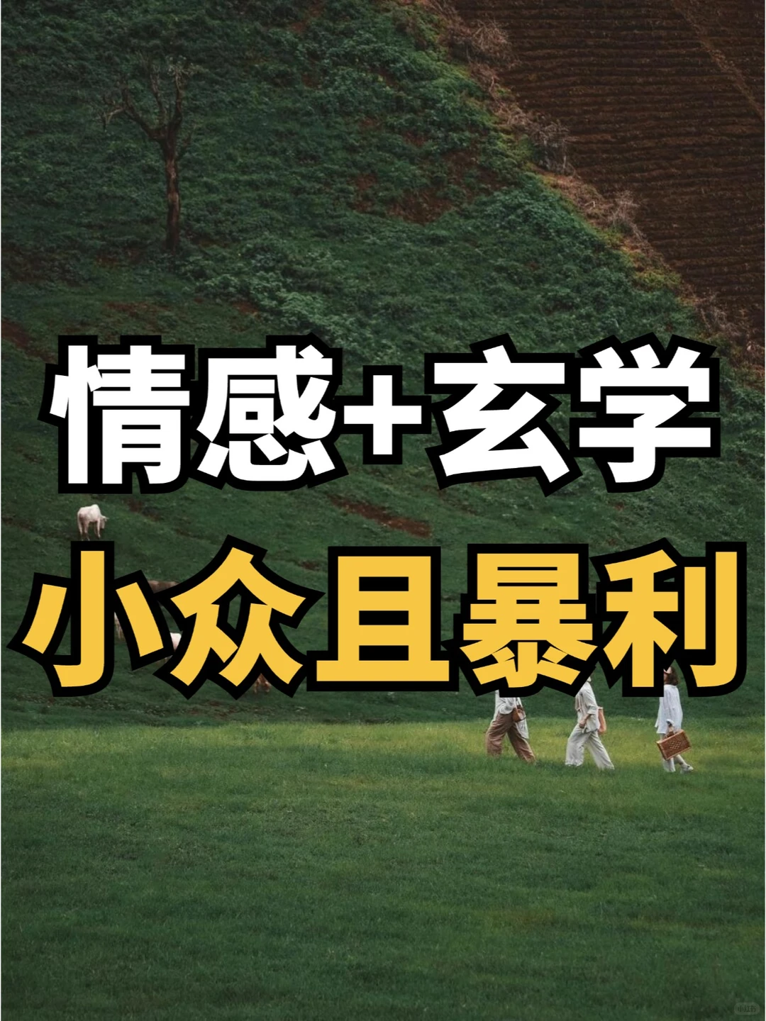 情感结合玄学赛道，半年翻身?
