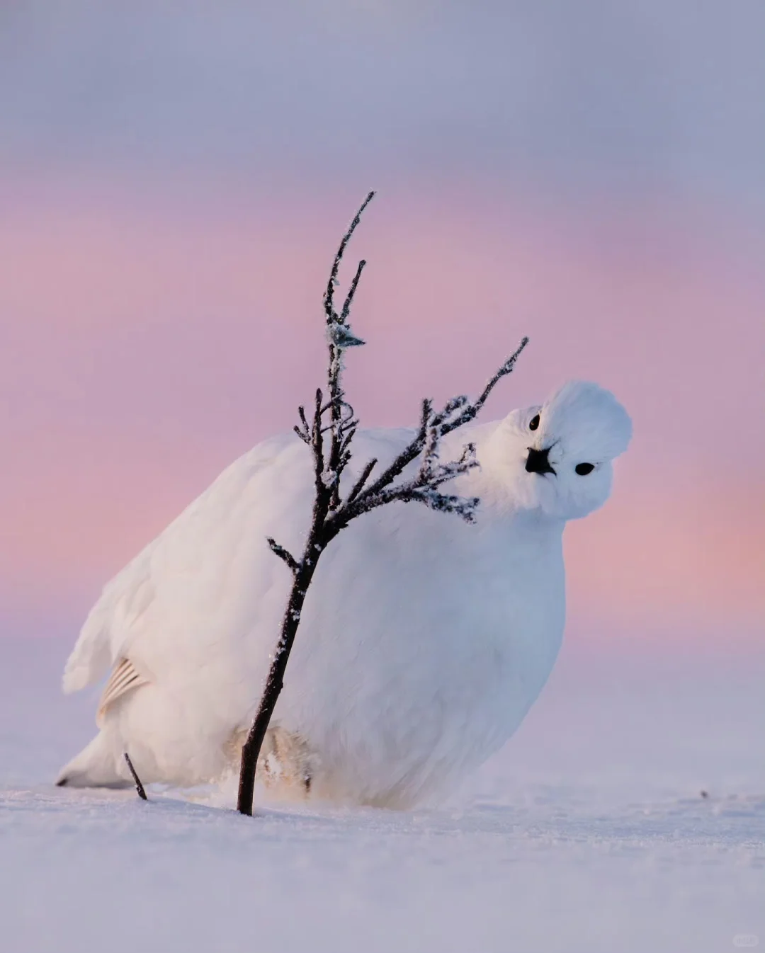 和贵人或领导相处，必懂的人情世故①
