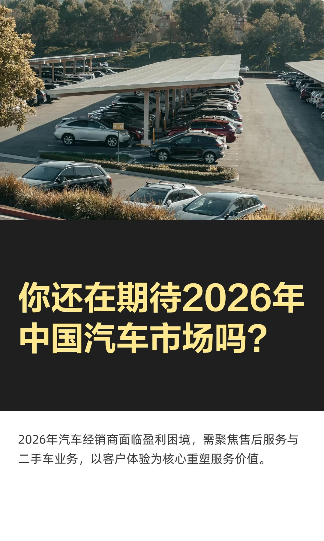 你还在期待2026年中国汽车市场吗？
