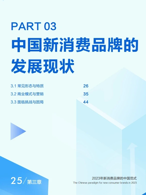 报告6丨2023新消费品牌的中国范式60页