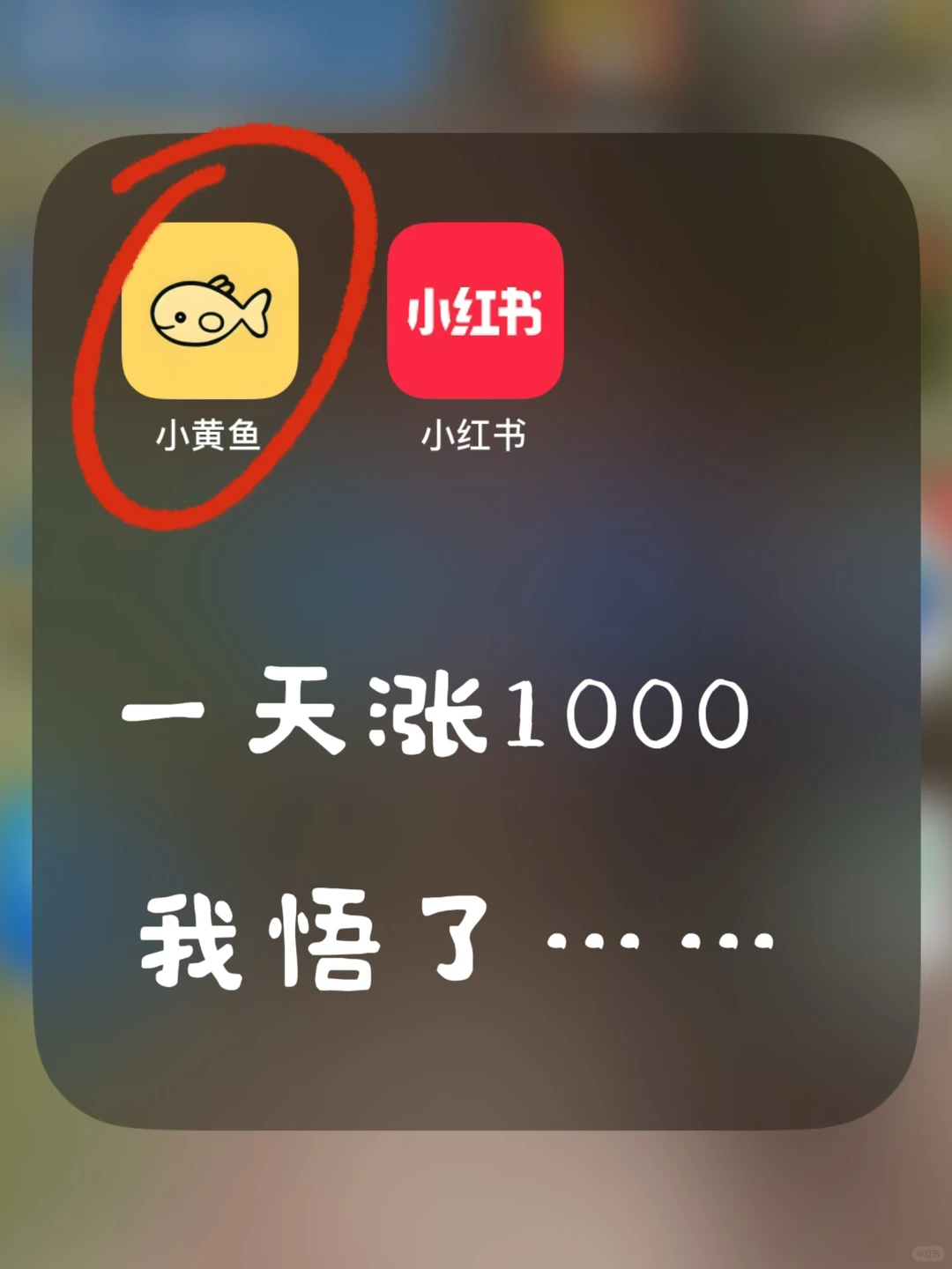 适合普通人❗️新的一年劝你好好做自媒体吧！