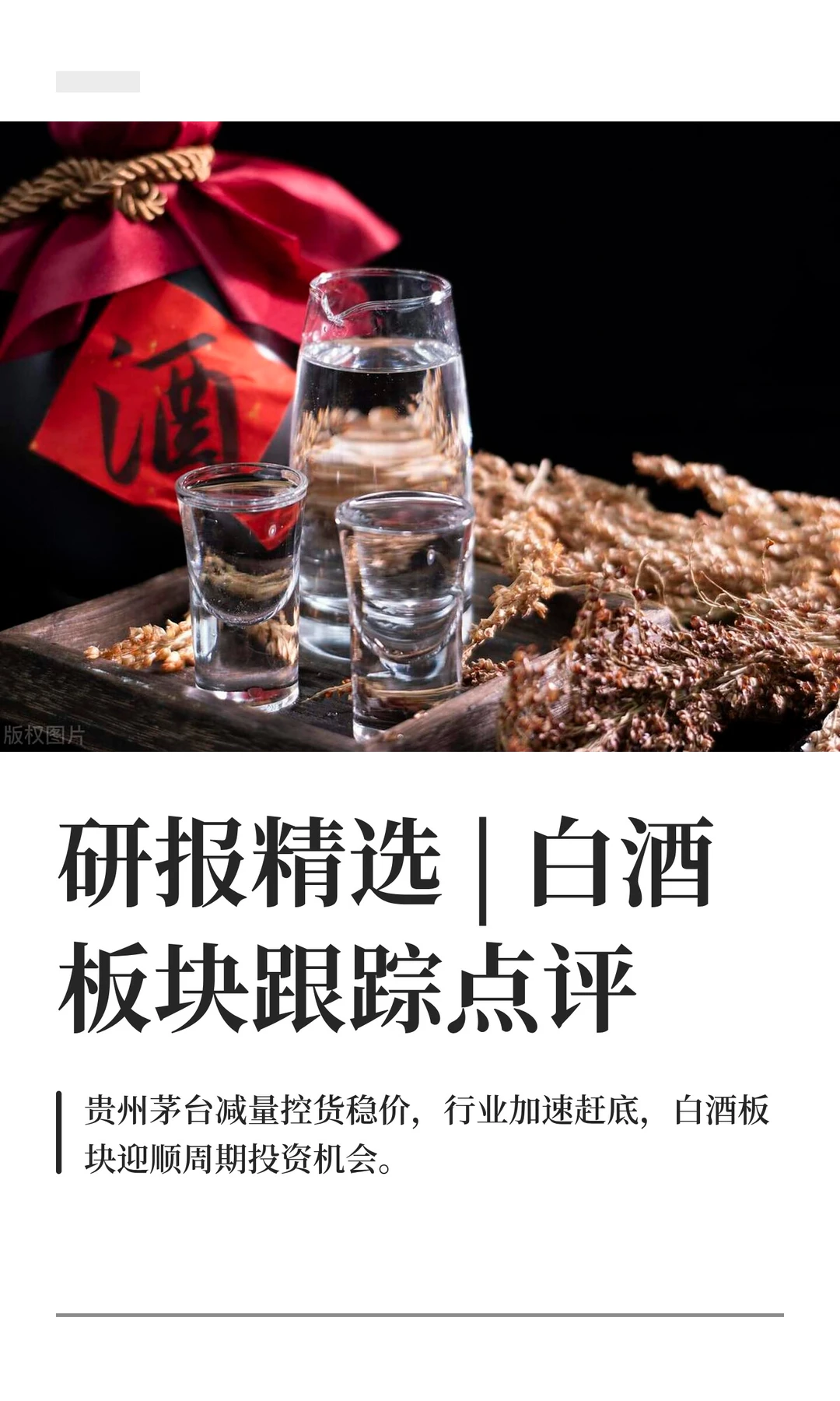 研报精选?白酒板块跟踪一览