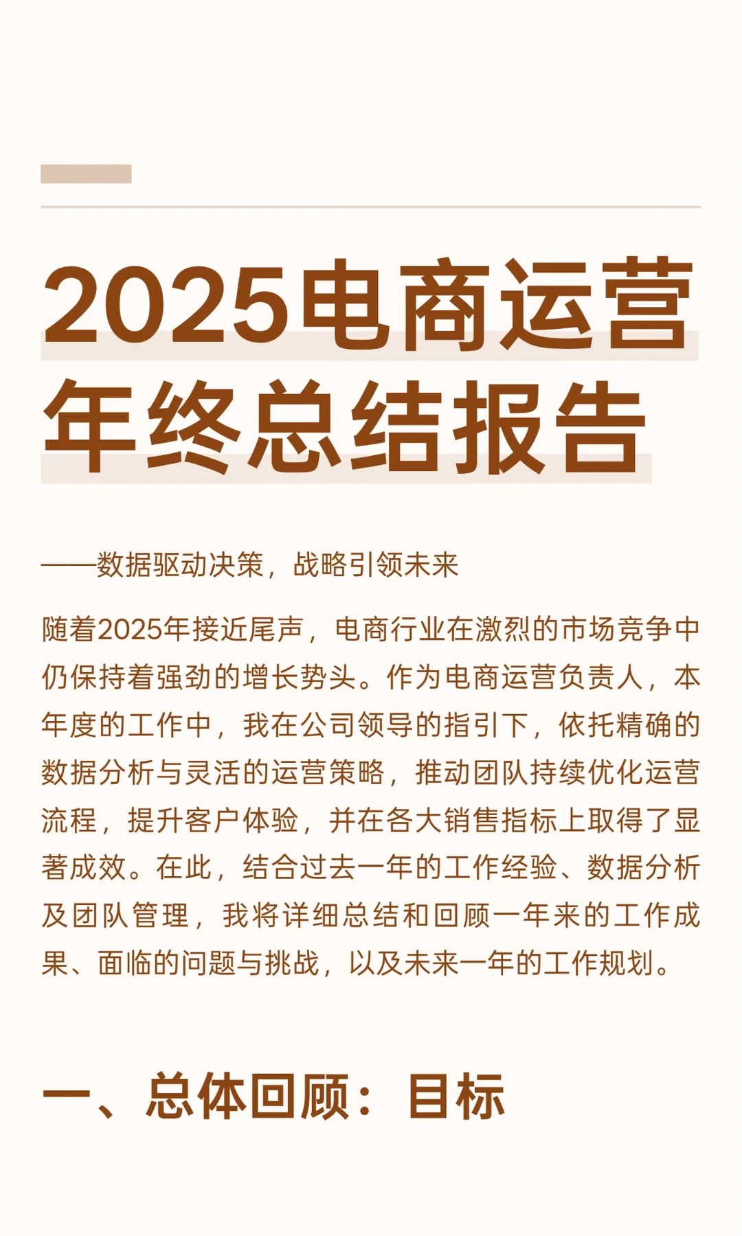 2025电商运营年终总结报告