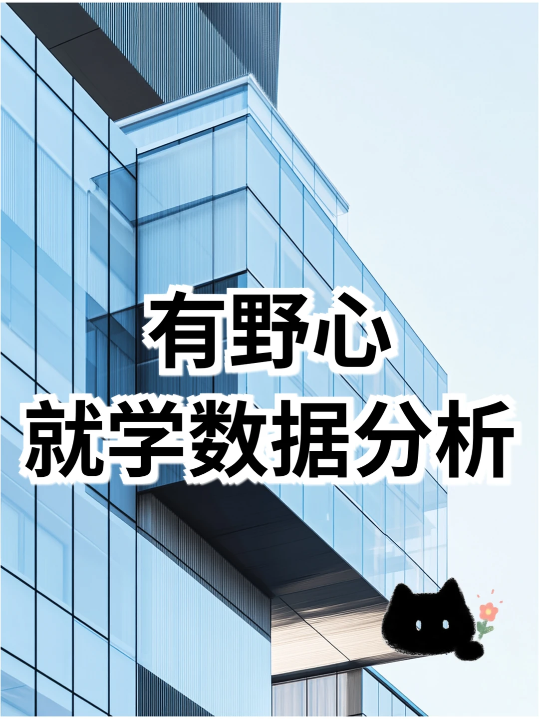 转行数据分析，26岁女生独白