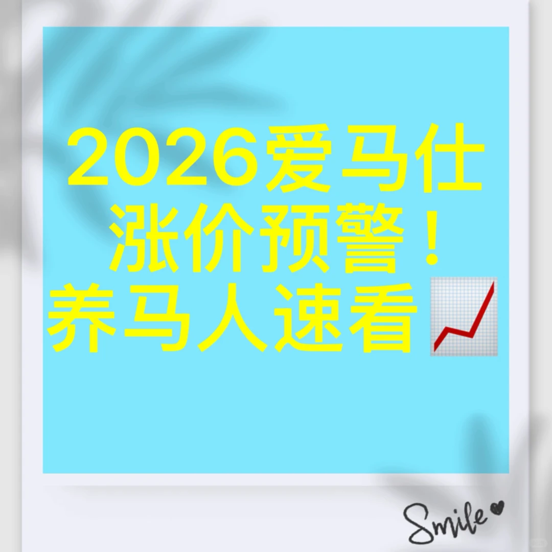 2026爱马仕涨价深度分析｜养马人必看！
