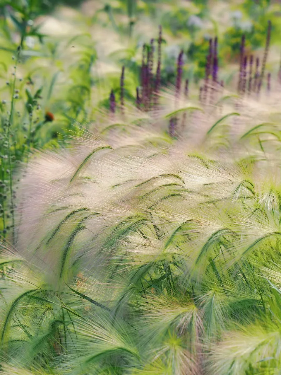 金钱心理学《财经日报2025.12.17》分享