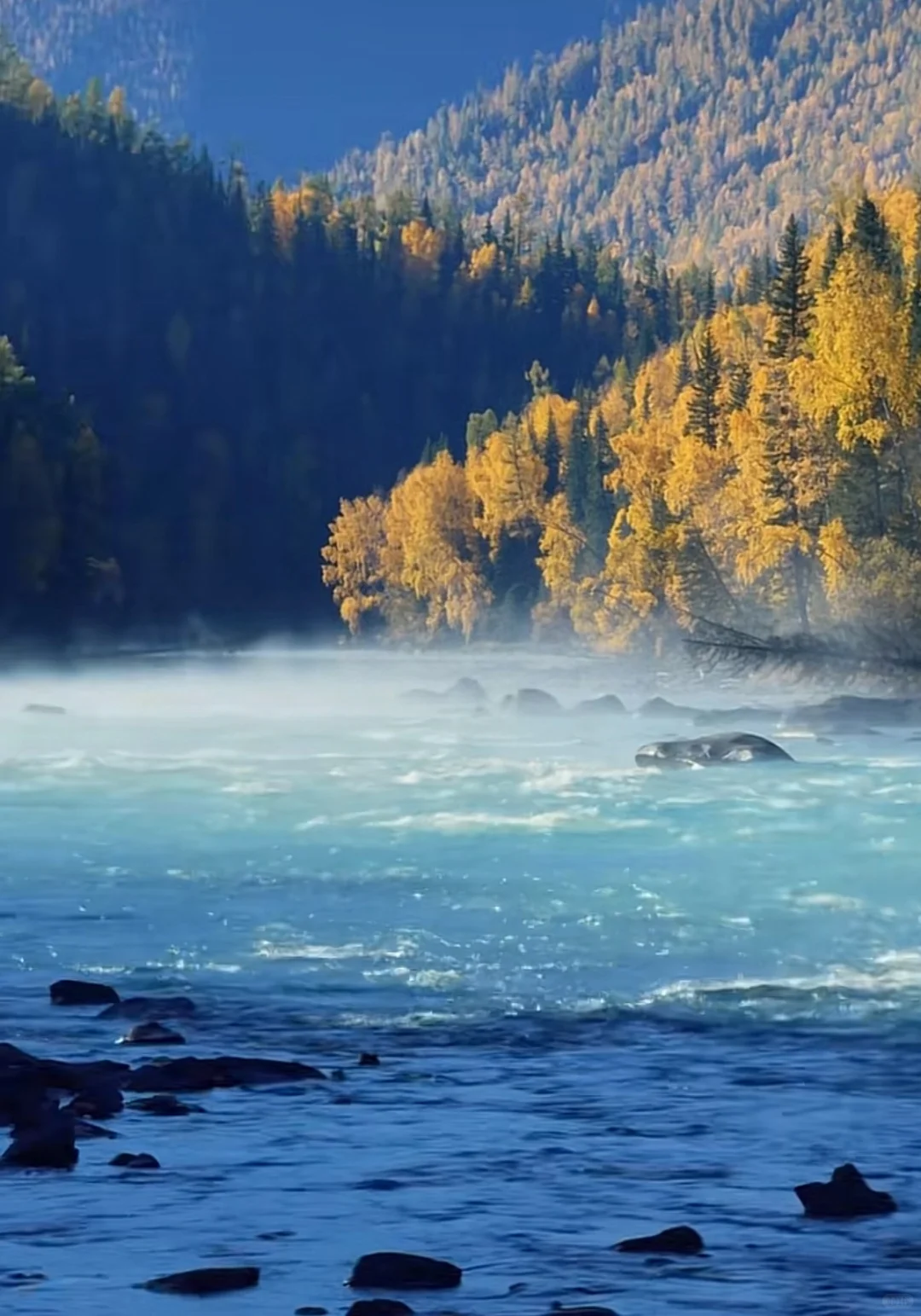 国家队指明了明年一条确定性新方向