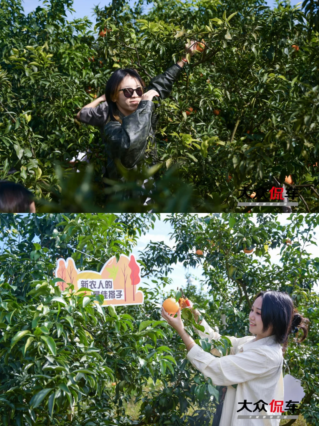 乡村企业定制 |来铁牛村办不一样的企业活动