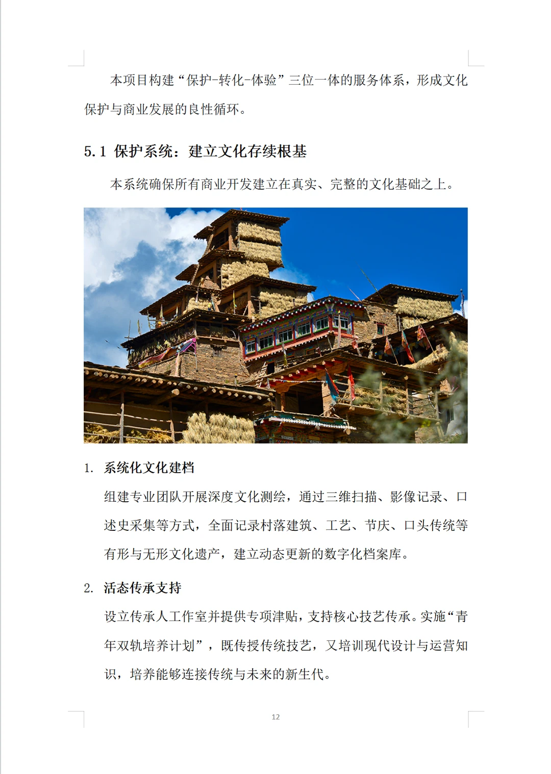 民族村落文化保护项目计划书word➕PPT