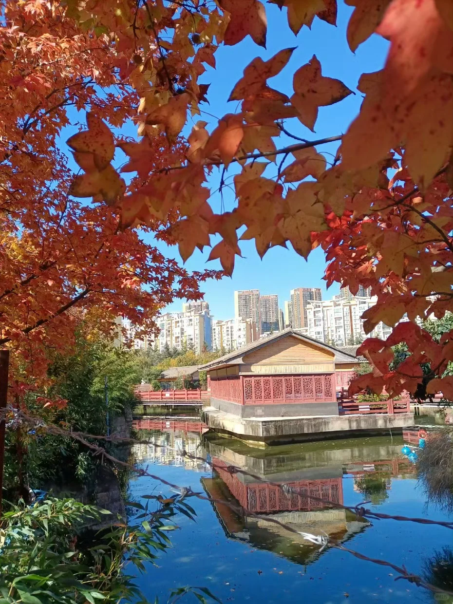 金钱心理学《财经日报2025.12.17》分享