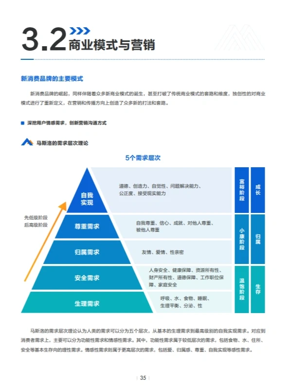 报告6丨2023新消费品牌的中国范式60页
