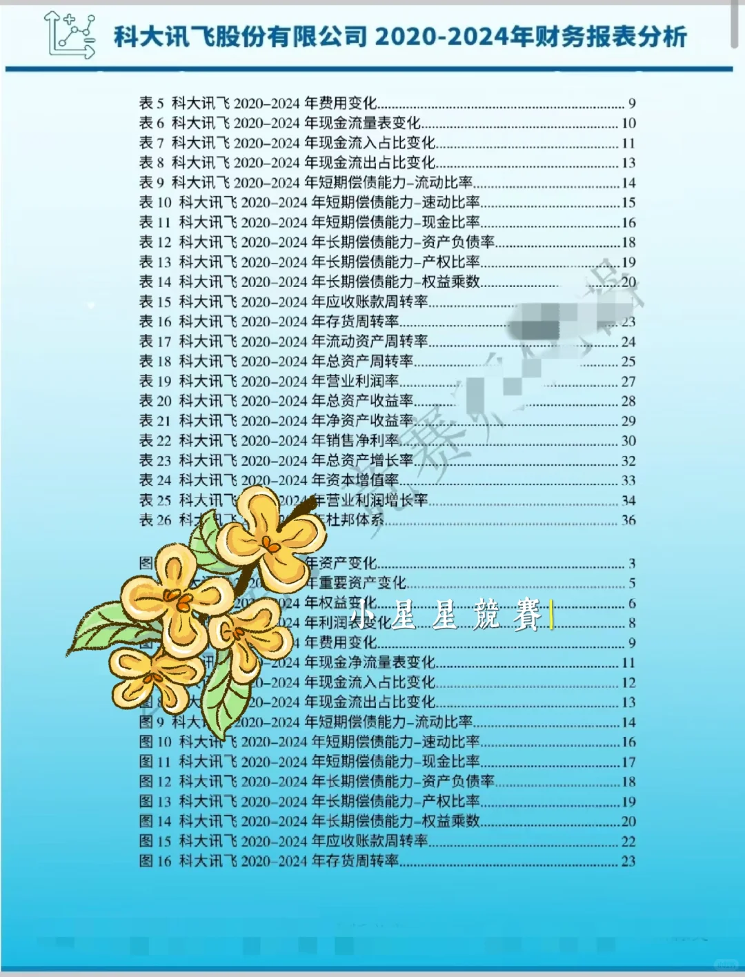 2026会计案例竞赛科大讯飞财务报表分析