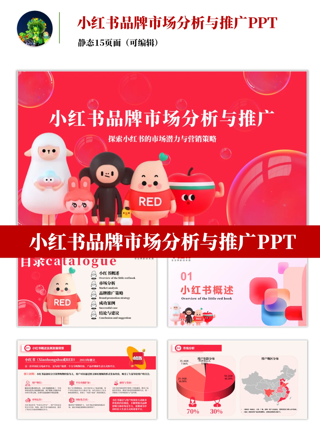 小红书品牌市场分析与推广PPT