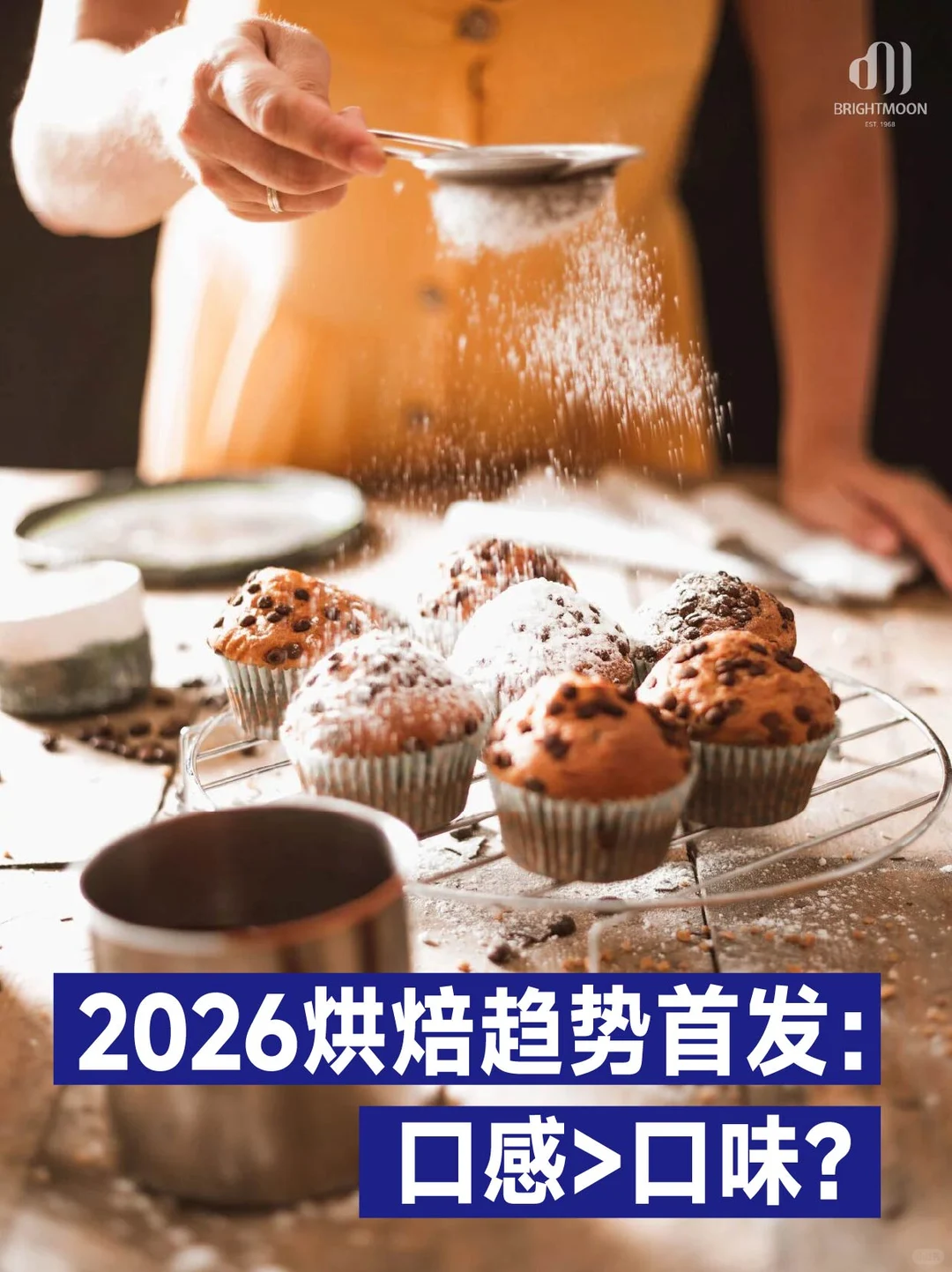 ?烘培趋势】明月带您揭秘千亿赛道新风口