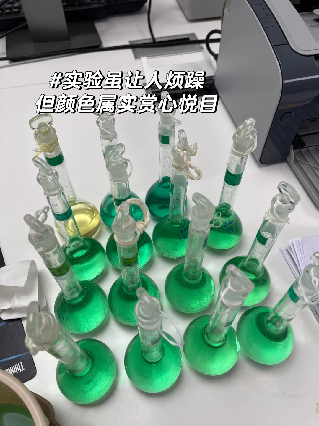 2025年终总结｜宝宝，你是一个药企研发女