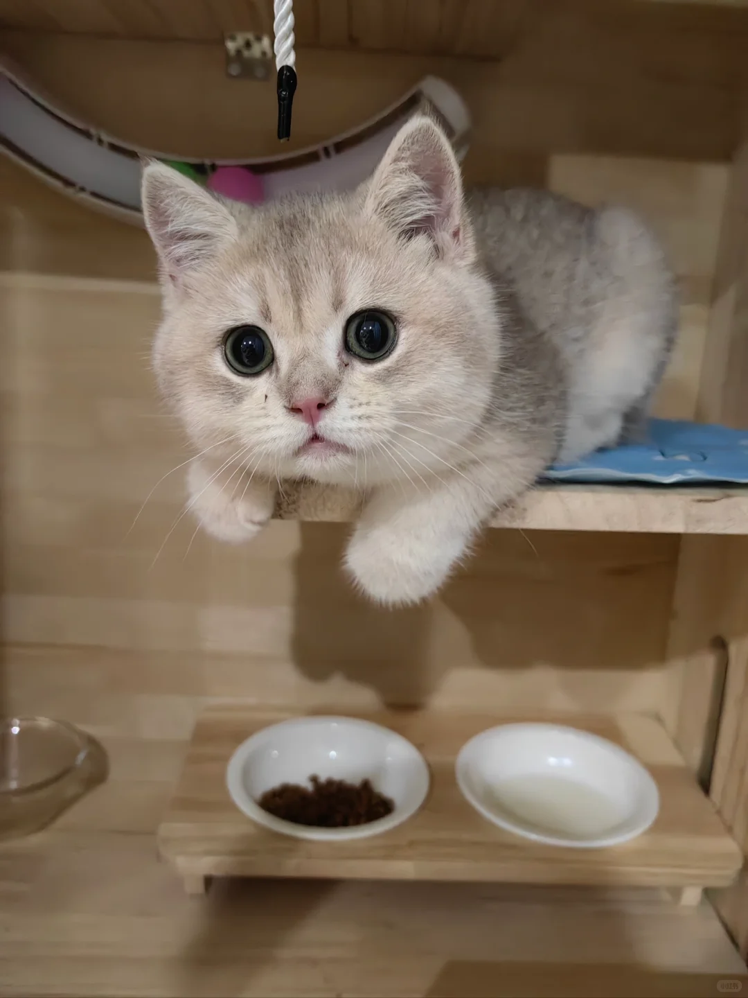 授信报告里行业分析的秘密，只有几点！