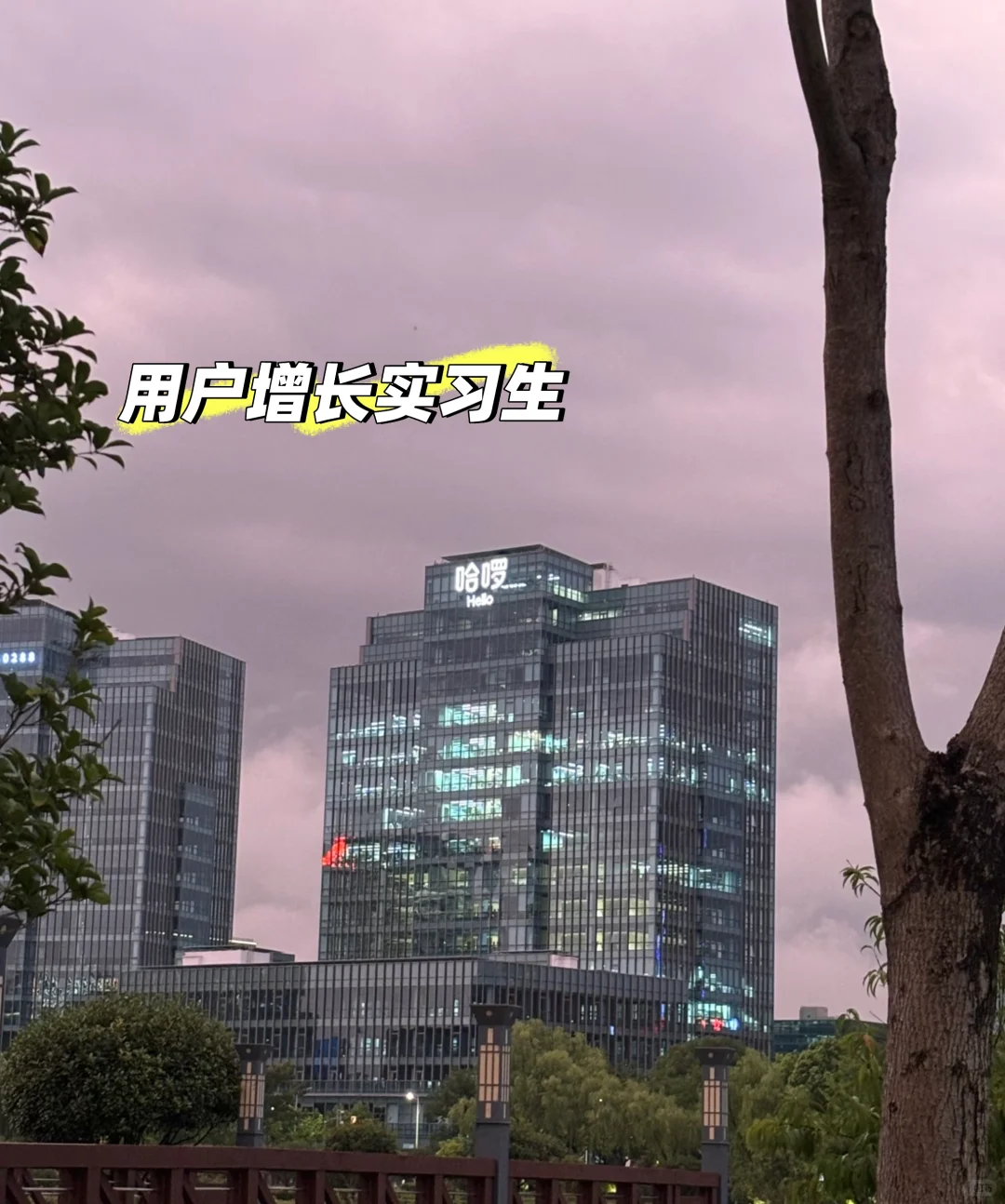 用户增长实习！！！寒假急招！