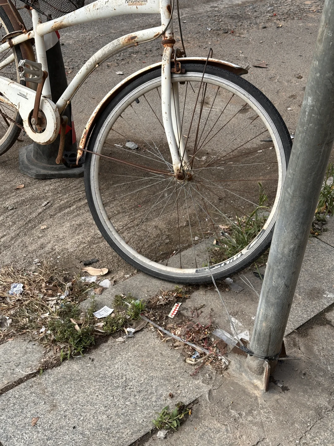 厦门幼师周末怎么过？当然是逛菜市场啊～