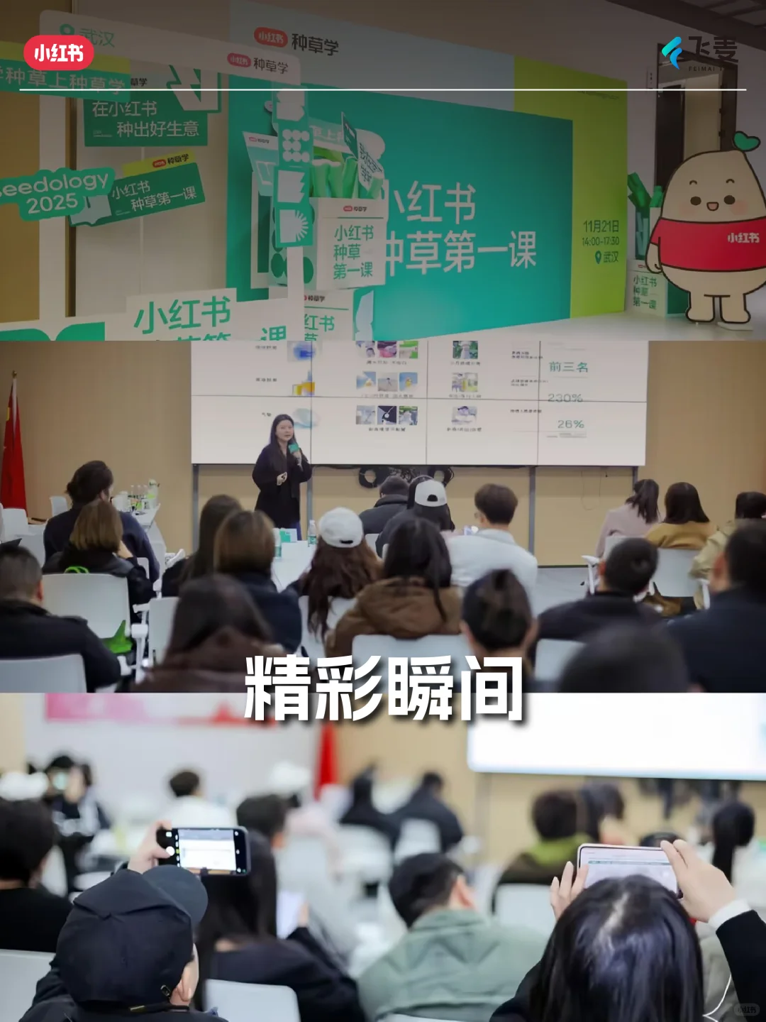 一场沙龙，飞麦带你告别“小红书种草玄学”
