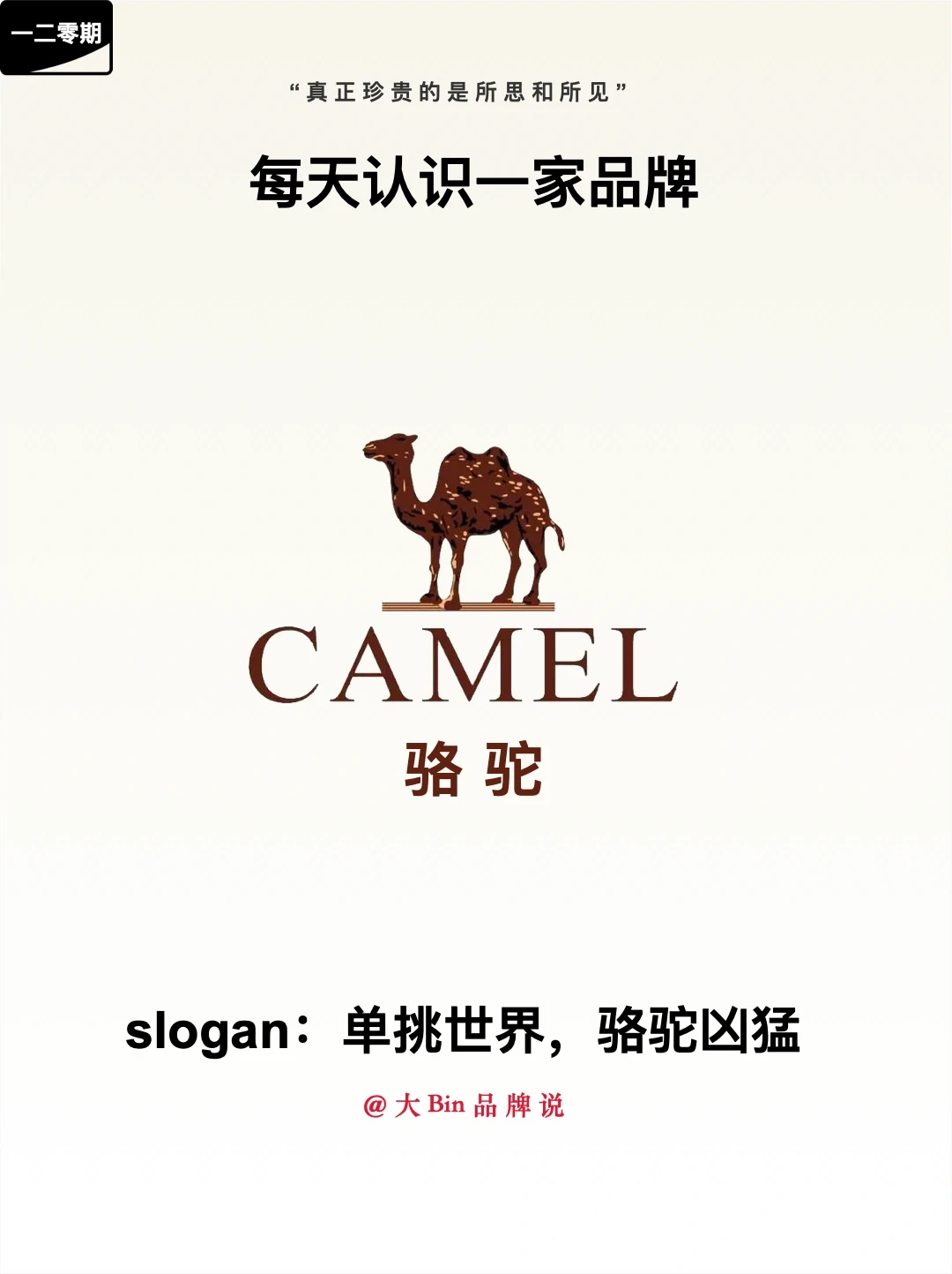 每天认识一家品牌，第一百二十期｜骆驼