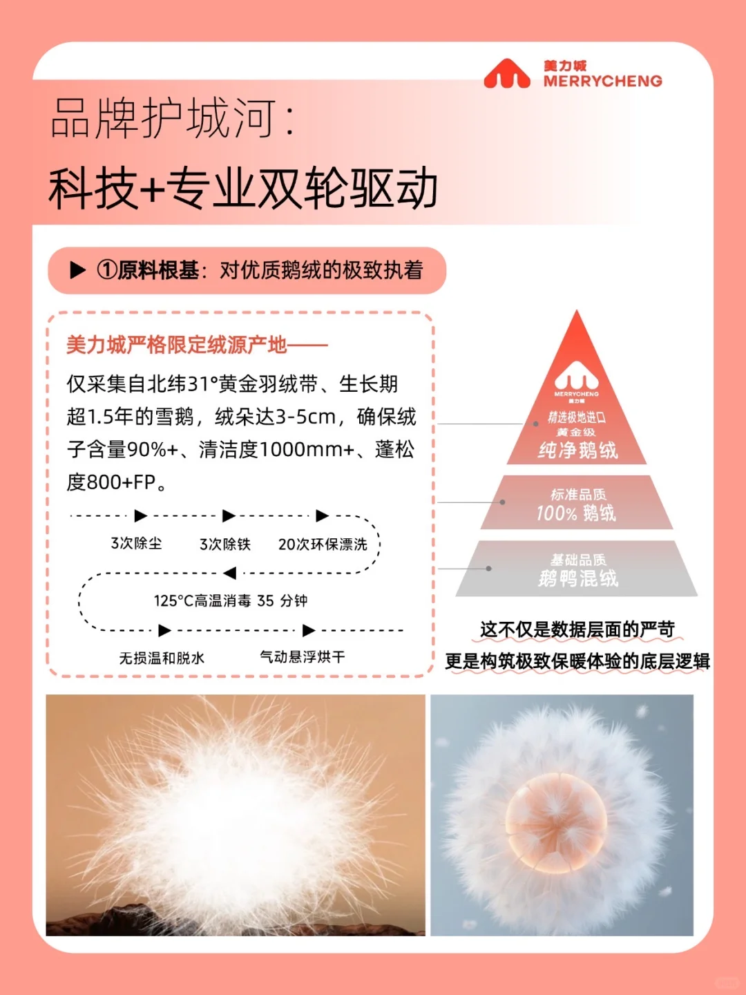 年销15亿，美力城为何能做到“行业TOP”？