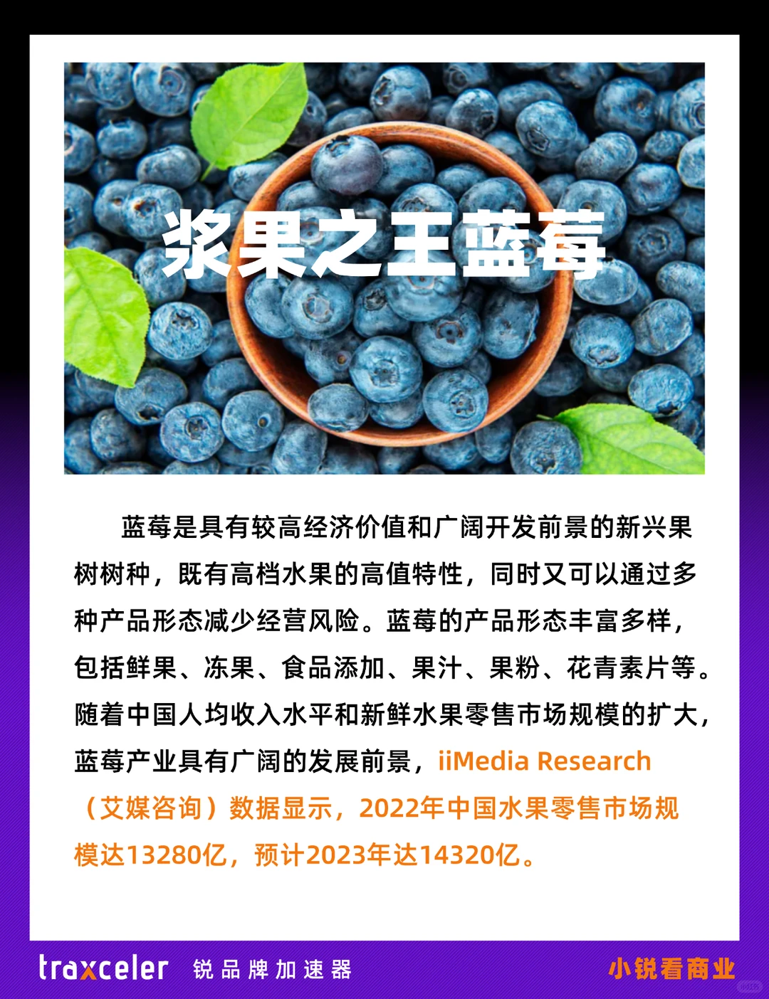 蓝莓能成为水果届的致富经吗？?行业报告