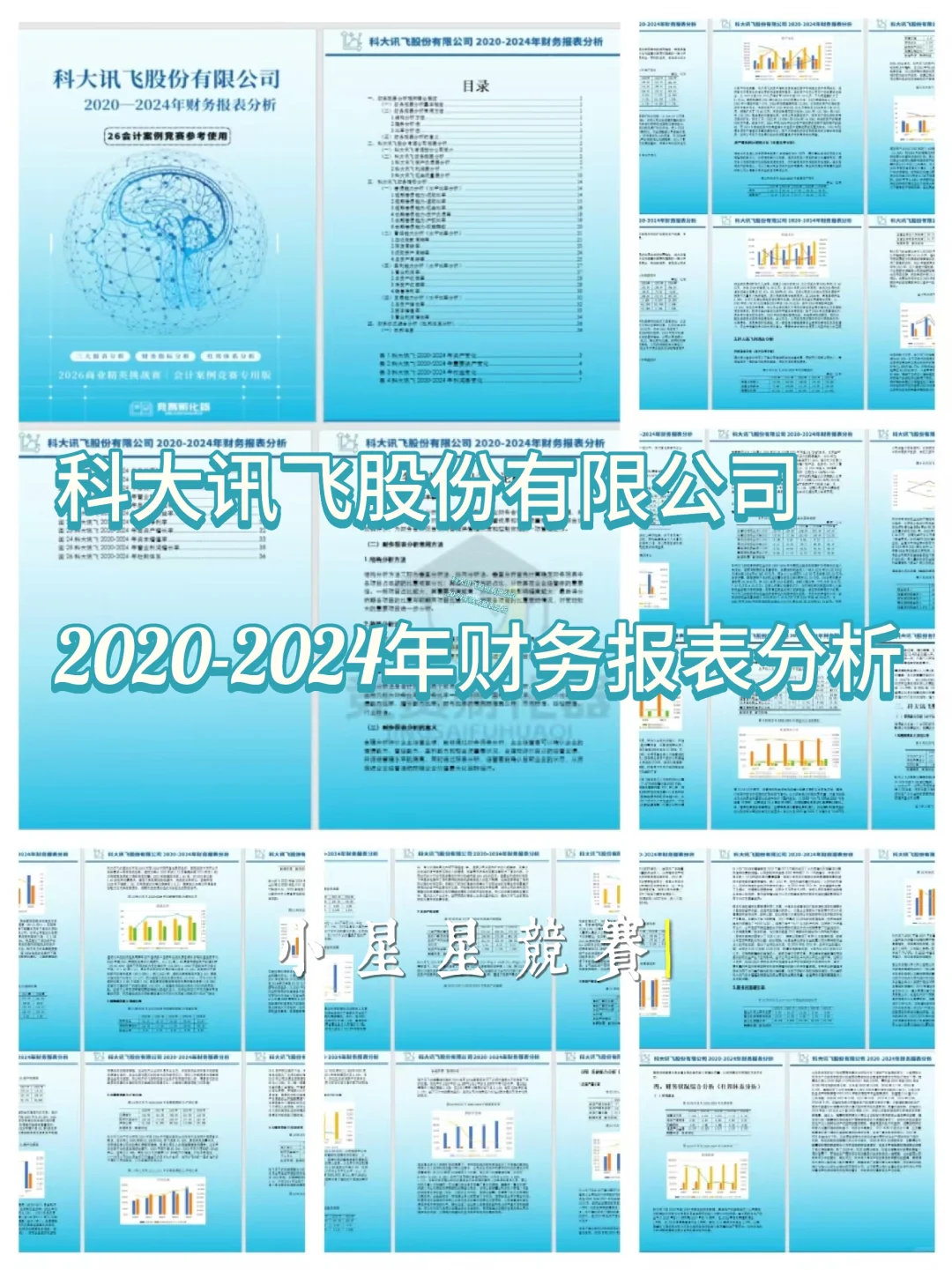 2026会计案例竞赛科大讯飞财务报表分析
