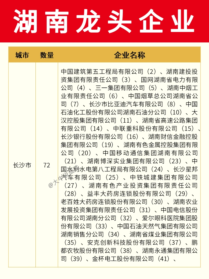 湖南龙头企业❗