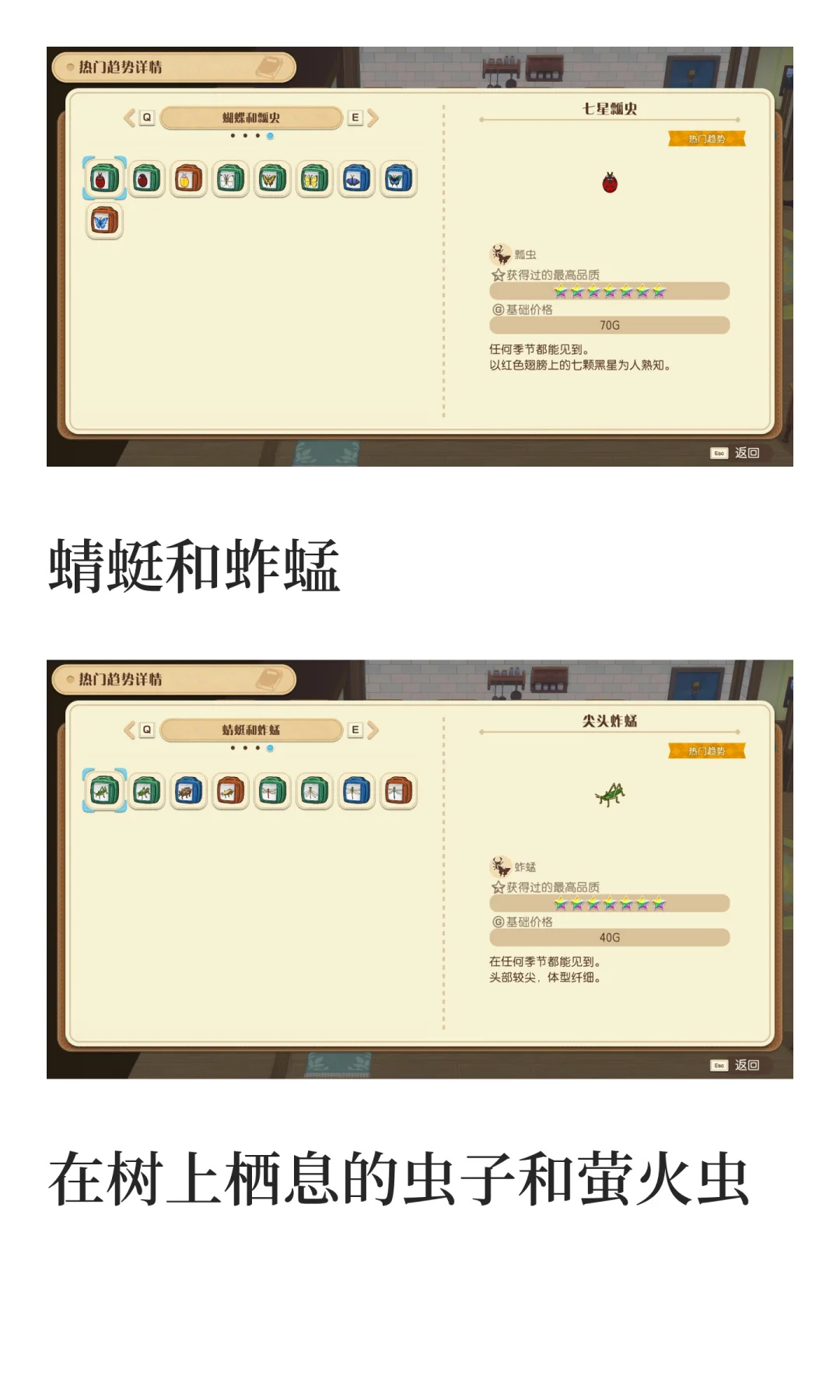 风之集市全部热门趋势物品图鉴汇总