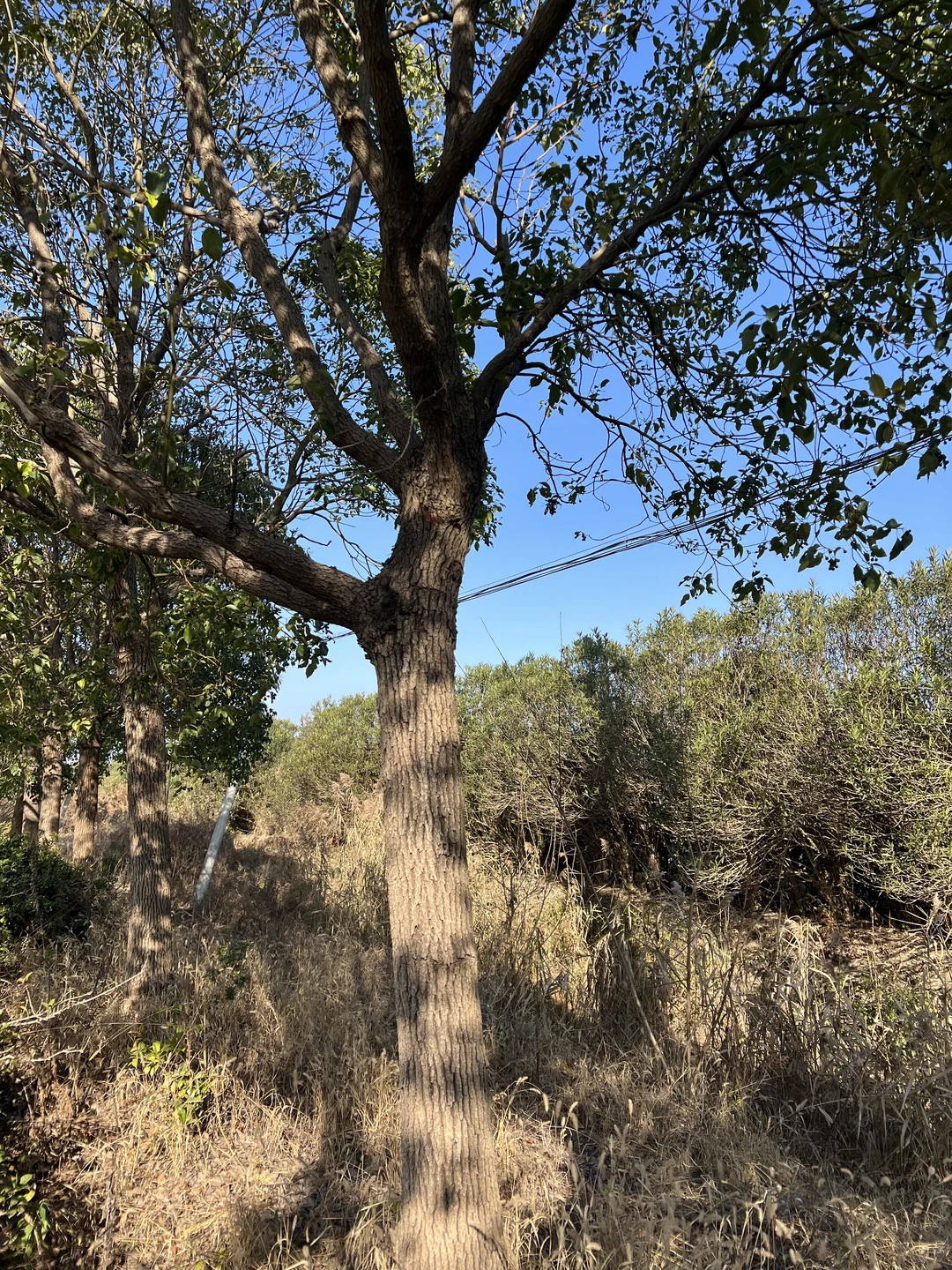 焦虑迷茫的创始人，往往都有一个共同错觉
