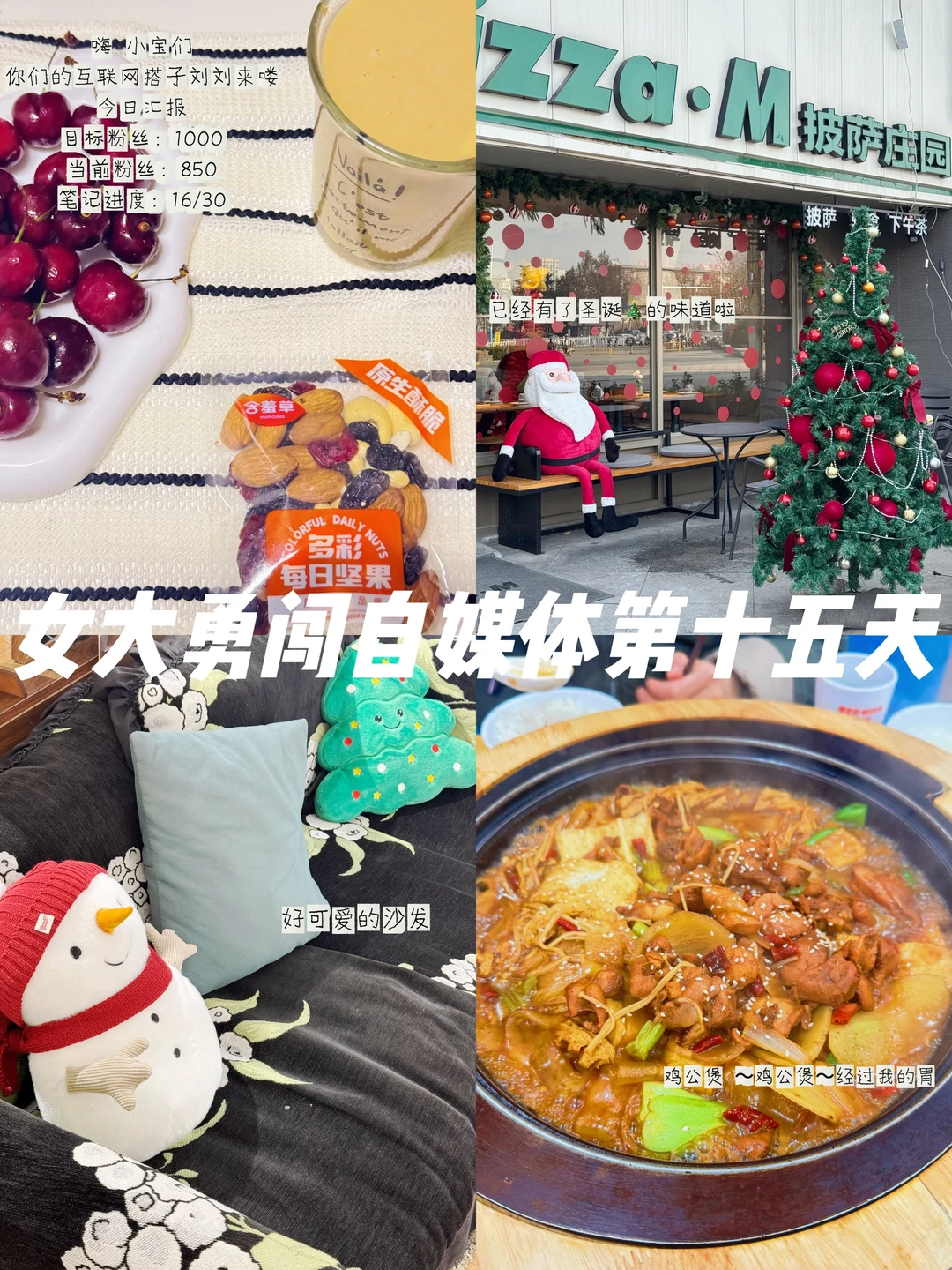 ✨成长型博主找赛道指南 新手直接抄作业！