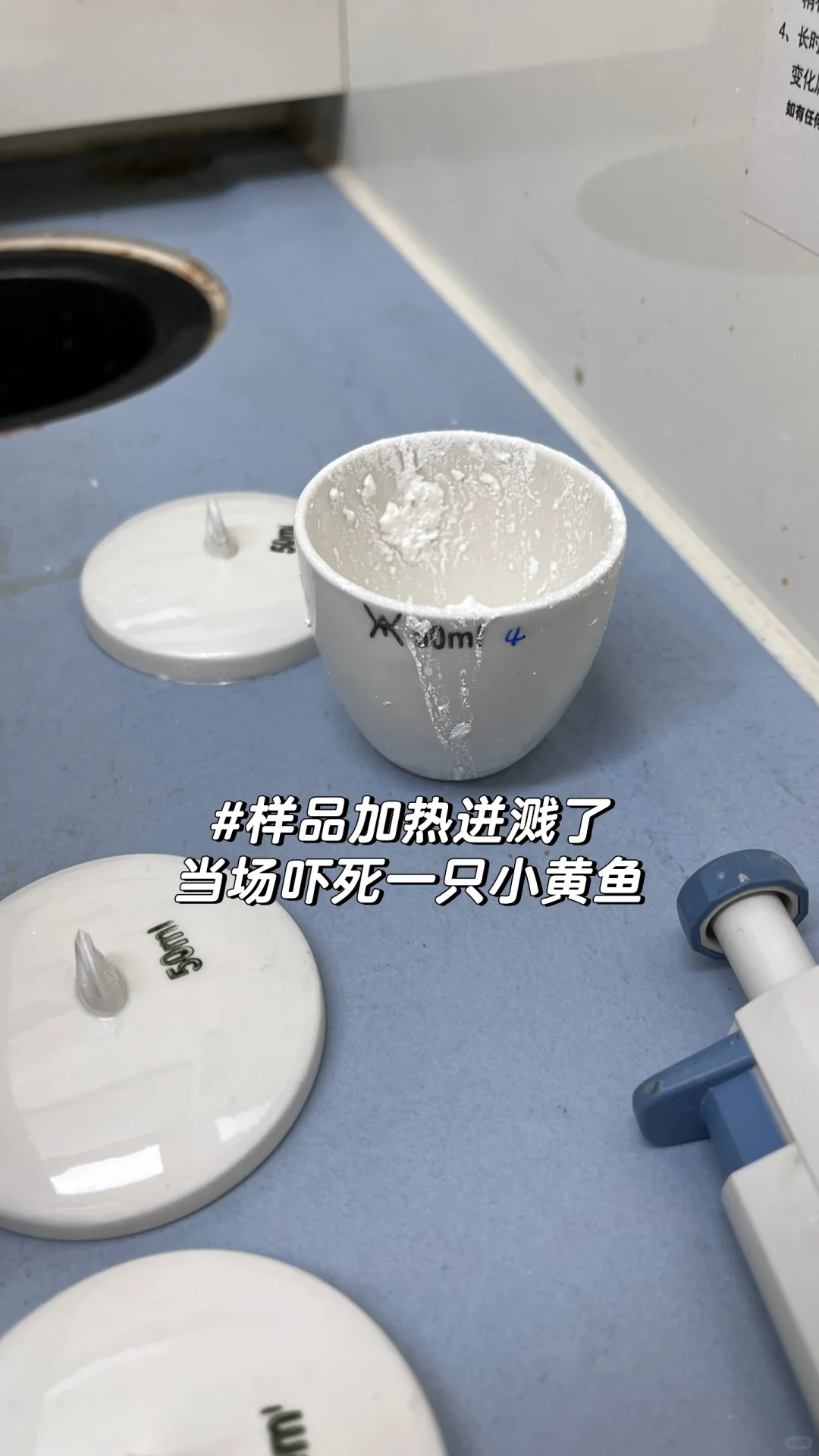 2025年终总结｜宝宝，你是一个药企研发女