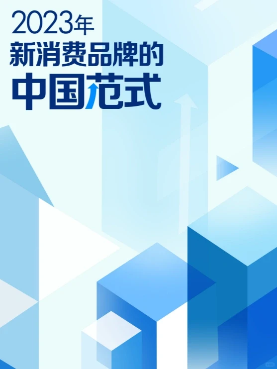 报告6丨2023新消费品牌的中国范式60页
